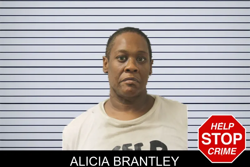 Alicia Brantley mugshot – Toombs County , Georgia Alicia Brantley mugshot