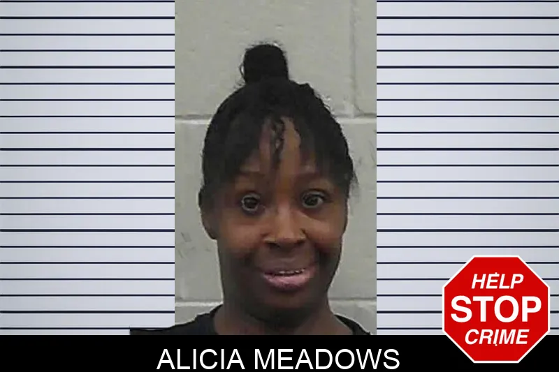 Alicia Meadows mugshot – Butts County , Georgia Alicia Meadows mugshot