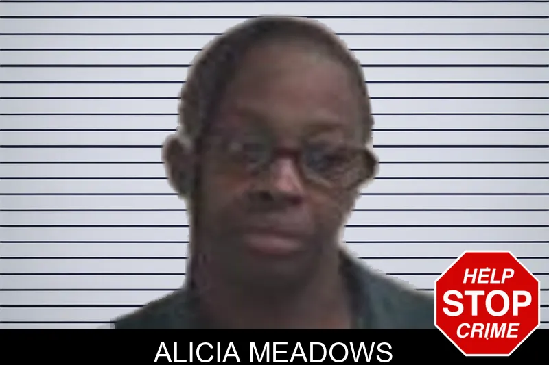 Alicia Meadows mugshot – Henry County , Georgia Alicia Meadows mugshot