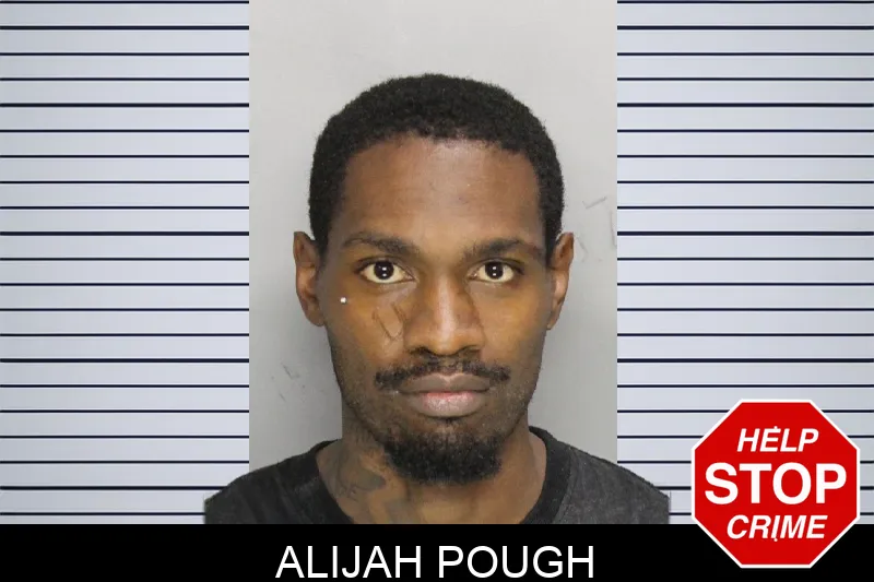 Alijah Pough mugshot