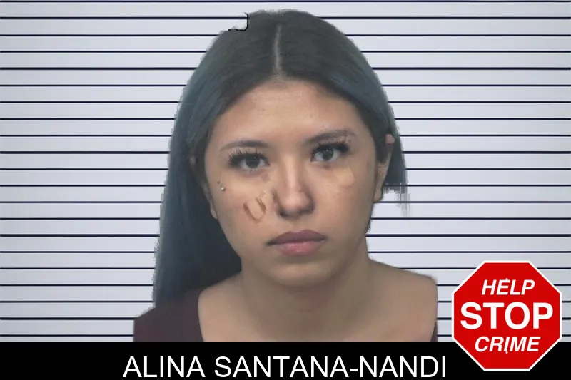 Alina Santana-Nandi mugshot