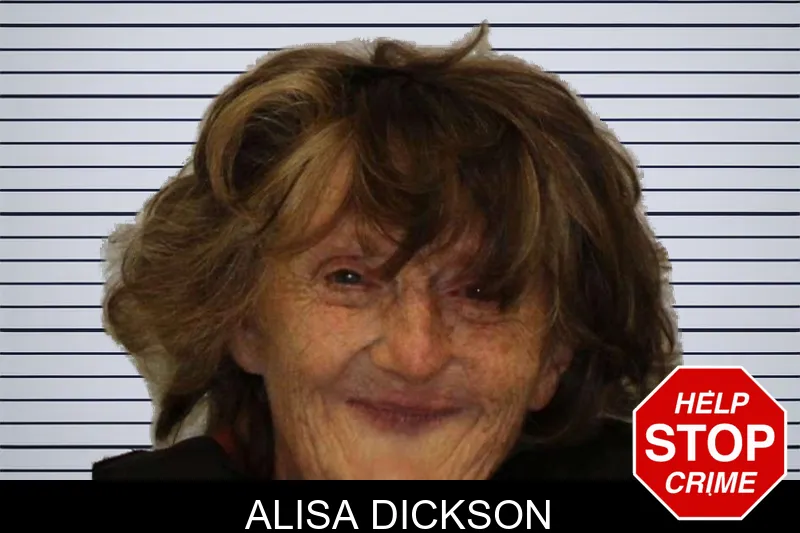 Alisa Dickson mugshot