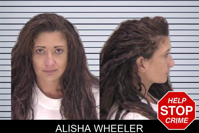 Alisha Wheeler mugshot – Richmond County , Georgia Alisha Wheeler mugshot