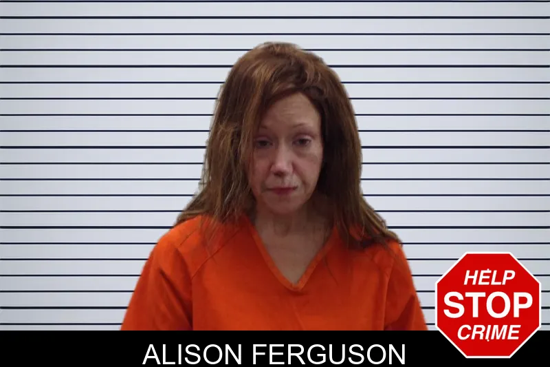 Alison Ferguson mugshot