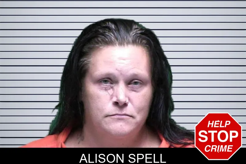 Alison Spell mugshot