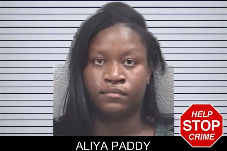 Aliya Paddy