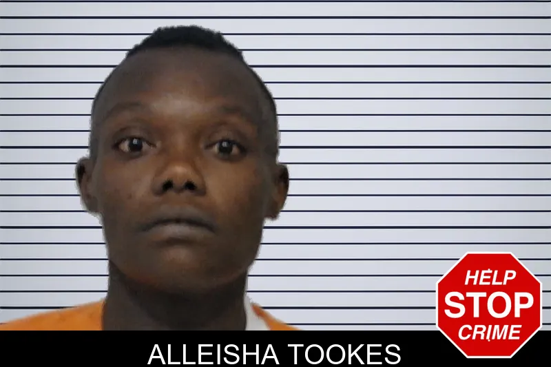 Alleisha Tookes mugshot