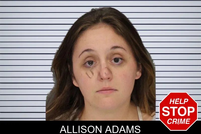 Allison Adams mugshot