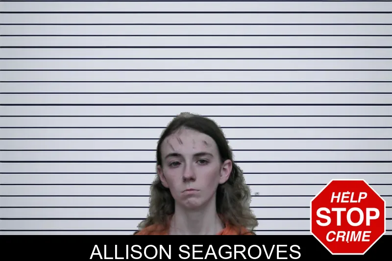 Allison Seagroves mugshot