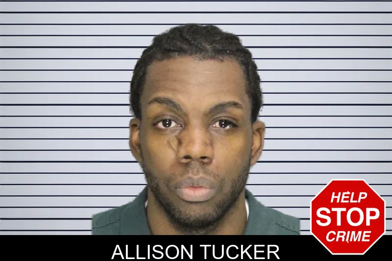 Allison Tucker mugshot