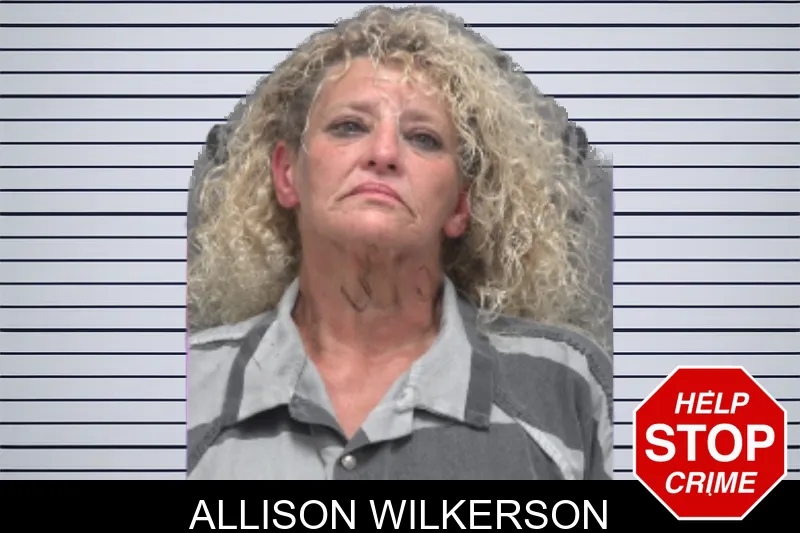 Allison Wilkerson mugshot