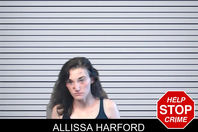 Allissa Harford mugshot