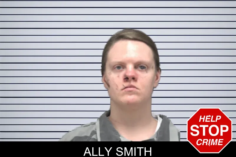 Ally Smith mugshot