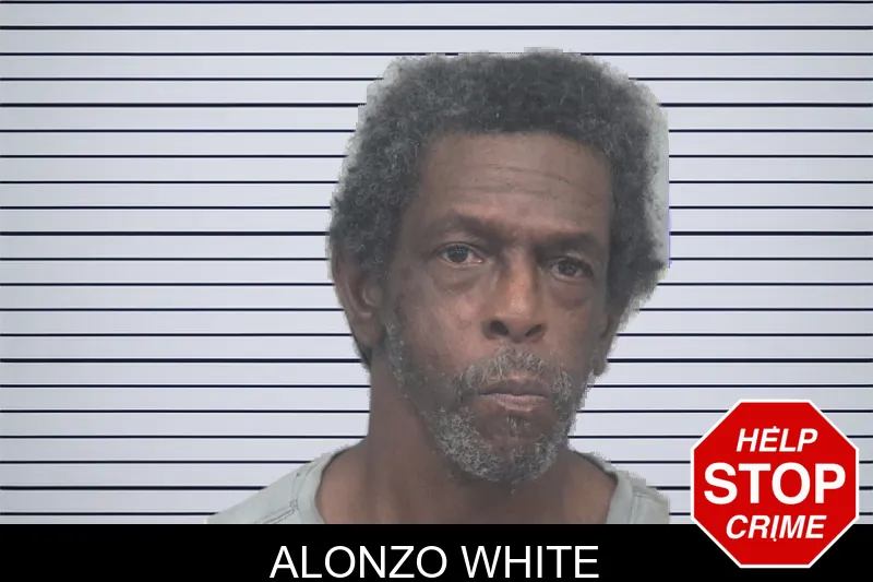 Alonzo White mugshot – Gwinnett County , Georgia Alonzo White mugshot