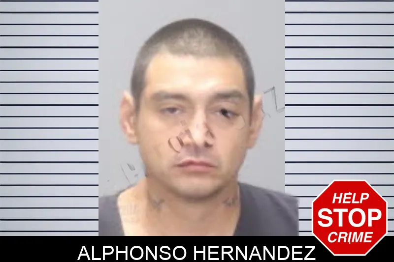 Alphonso Hernandez mugshot