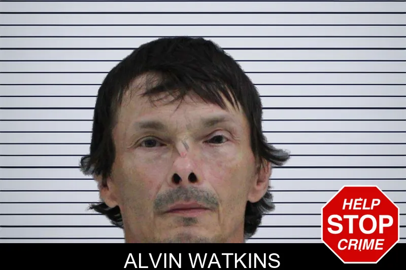 Alvin Watkins mugshot – Rabun County , Georgia Alvin Watkins mugshot