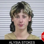 Alysia Stokes mugshot – Gordon County , Georgia Alysia Stokes mugshot