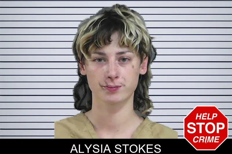 Alysia Stokes mugshot – Gordon County , Georgia Alysia Stokes mugshot