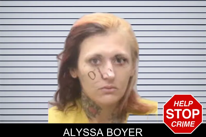 Alyssa Boyer mugshot