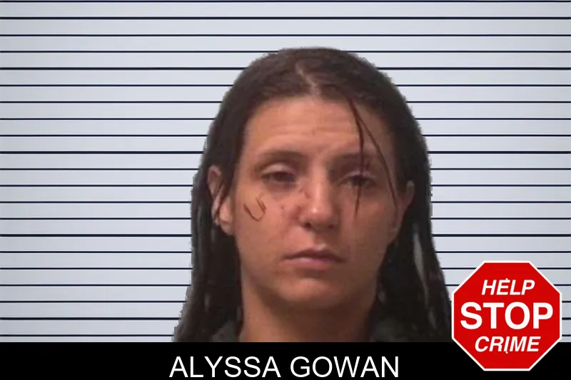 Alyssa Gowan mugshot