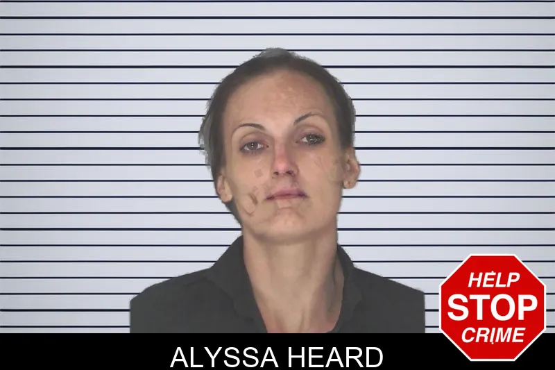 Alyssa Heard mugshot – Douglas County , Georgia Alyssa Heard mugshot