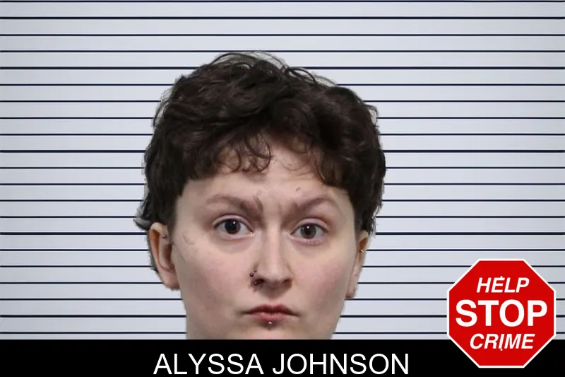 Alyssa Johnson mugshot