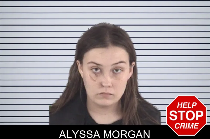 Alyssa Morgan mugshot