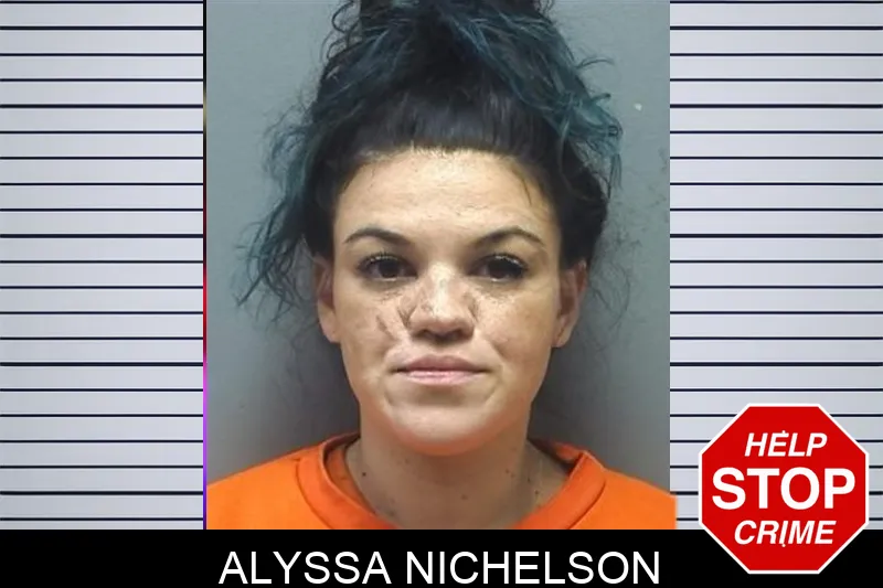 Alyssa Nichelson mugshot – Cherokee County , Georgia Alyssa Nichelson mugshot