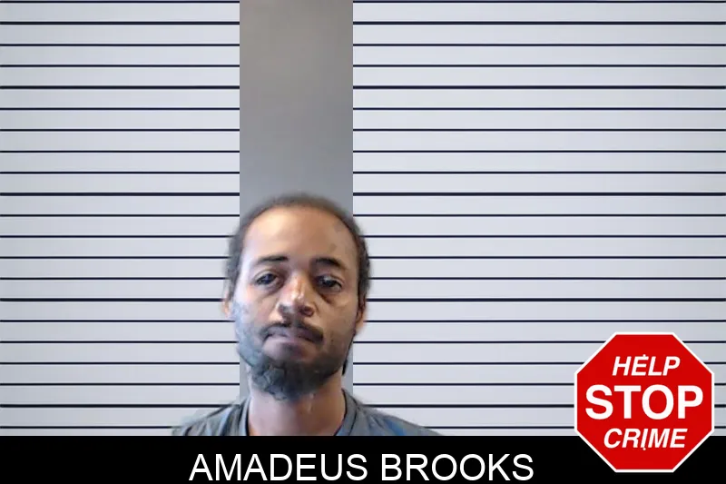 Amadeus Brooks mugshot