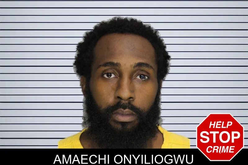 Amaechi Onyiliogwu mugshot