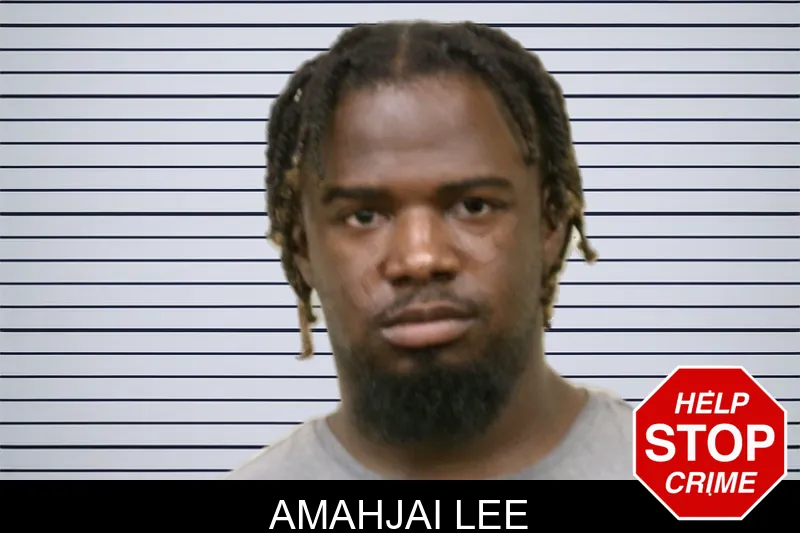 Amahjai Lee mugshot – Bulloch County , Georgia Amahjai Lee mugshot