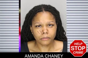 Amanda Chaney mugshot