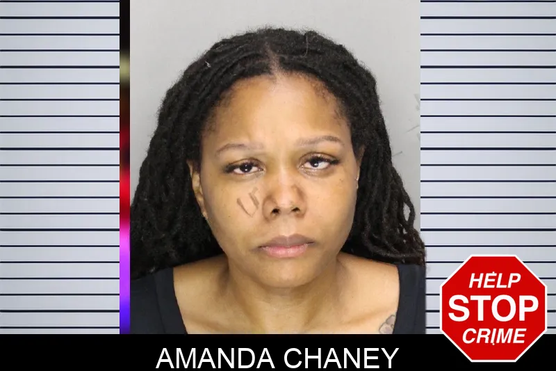 Amanda Chaney mugshot