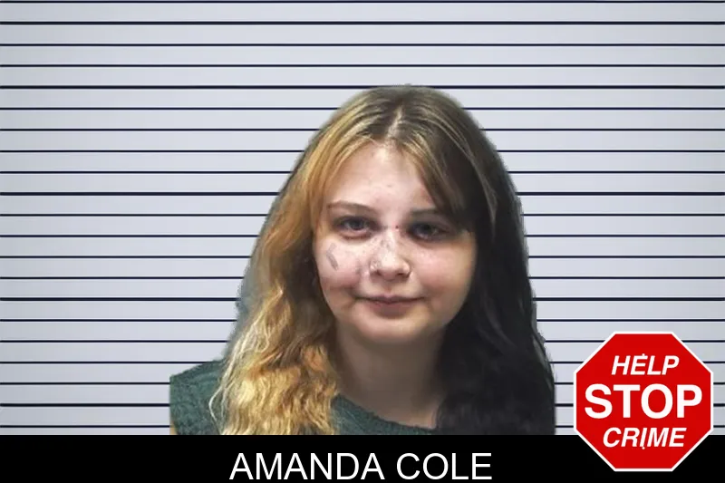 Amanda Cole mugshot