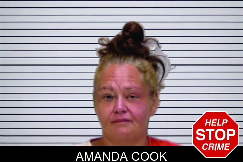 Amanda Cook mugshot – Bartow County , Georgia Amanda Cook mugshot