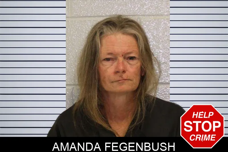 Amanda Fegenbush mugshot – Carroll County , Georgia Amanda Fegenbush mugshot