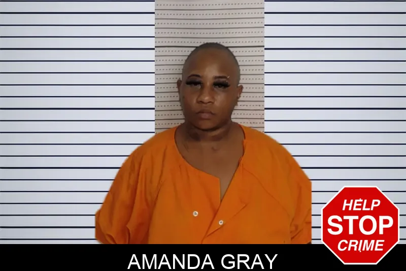 Amanda Gray mugshot