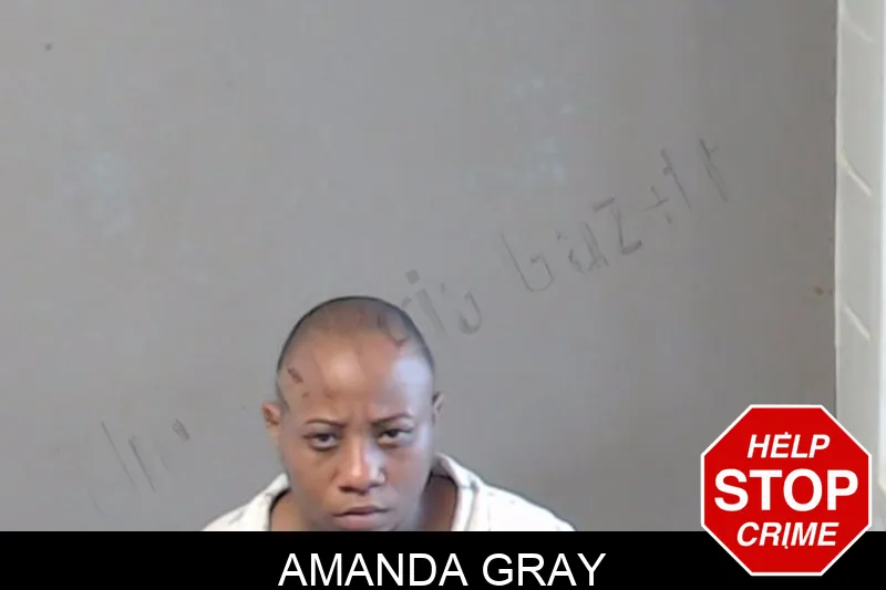 Amanda Gray mugshot