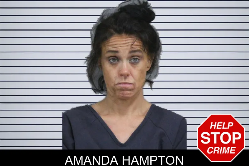 Amanda Hampton mugshot