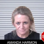 Amanda Harmon mugshot