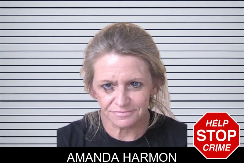 Amanda Harmon mugshot