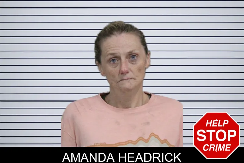 Amanda Headrick mugshot – Catoosa County , Georgia Amanda Headrick mugshot