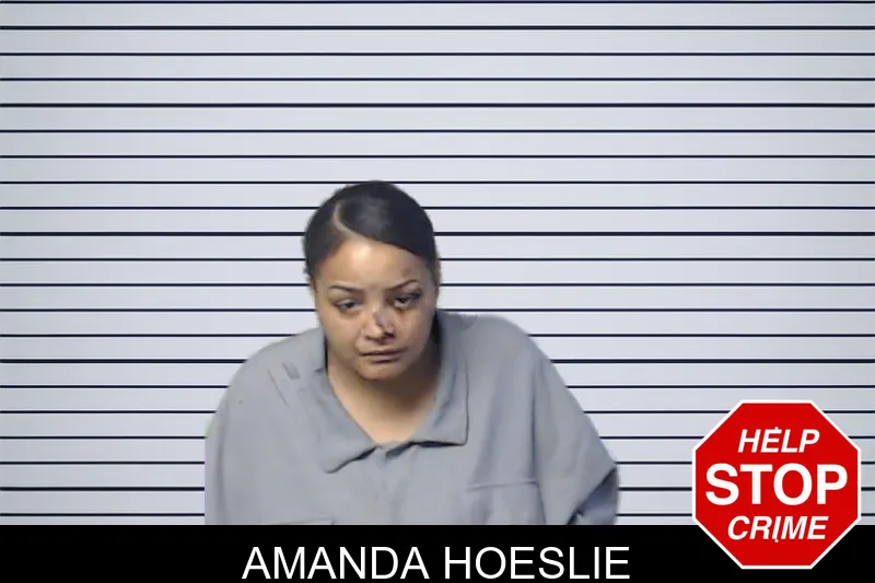 Amanda Hoeslie mugshot