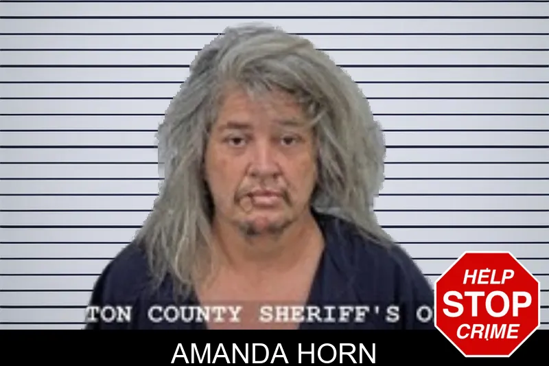 Amanda Horn mugshot