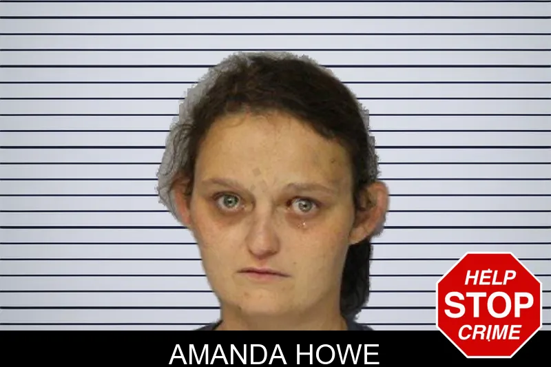 Amanda Howe mugshot