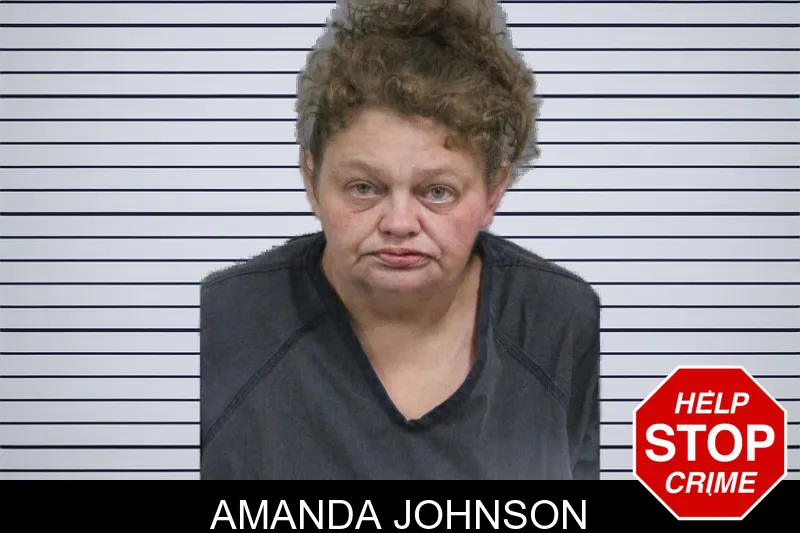 Amanda Johnson mugshot – Catoosa County , Georgia Amanda Johnson mugshot