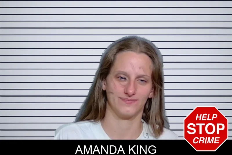 Amanda King mugshot