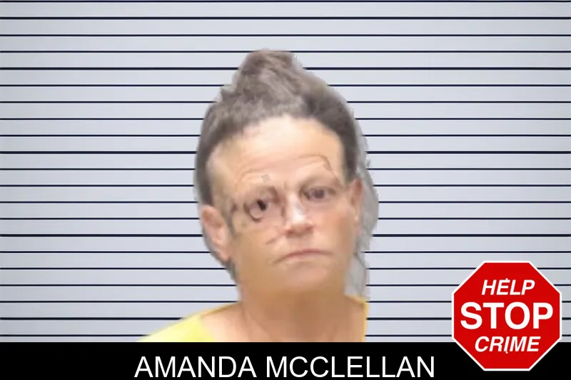 Amanda McClellan mugshot