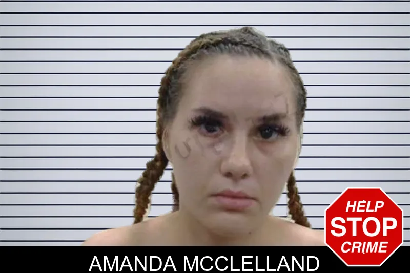 Amanda McClelland mugshot