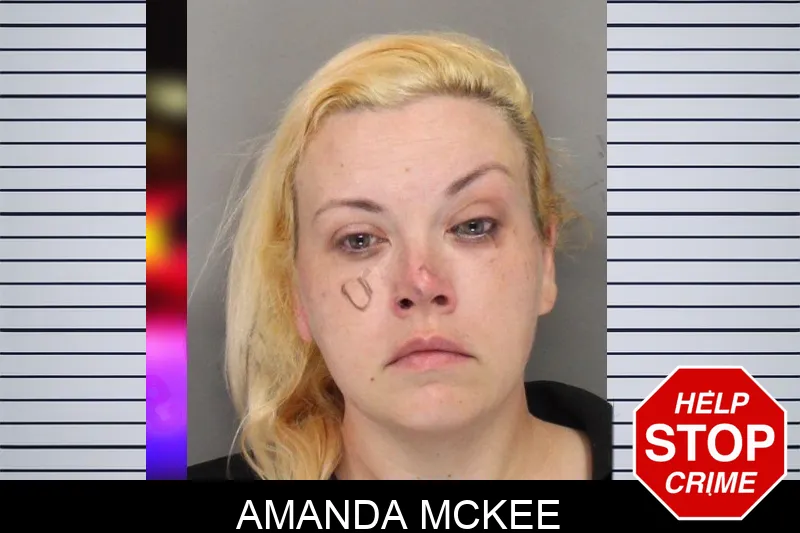 Amanda McKee mugshot